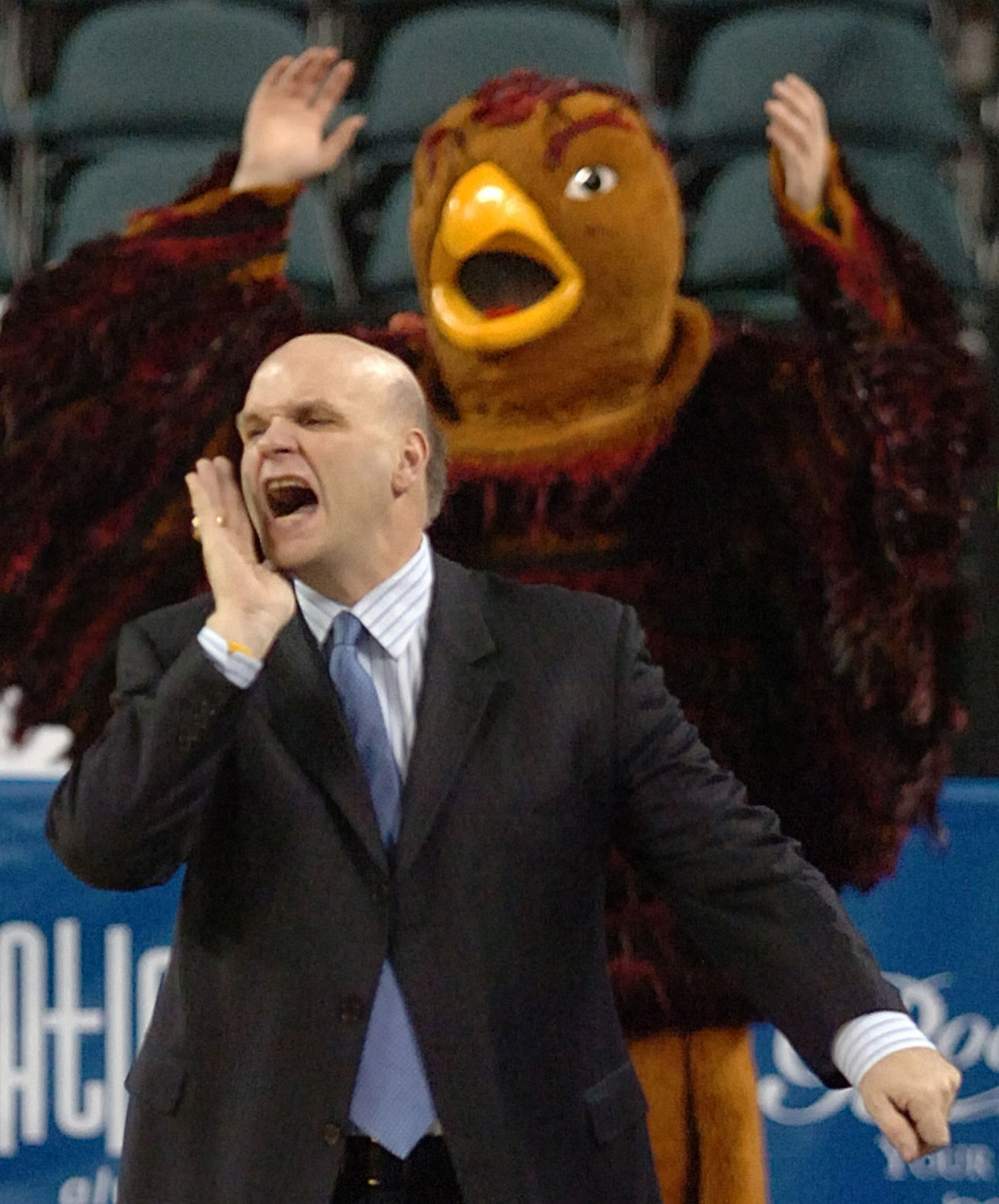 ‘The Hawk Will Never Die’